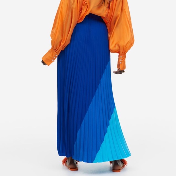 Pleated Skirt - Picture 5 of 7